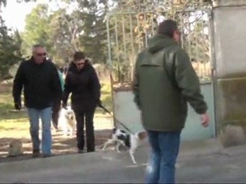 Cani Marche du 26/02/2012 à Montreon des Corbières