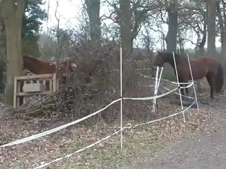 29.02.2012.m.batoukada