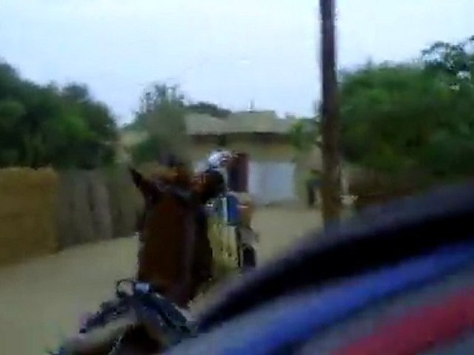 CLIP0113