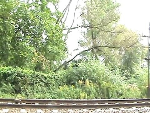 BR152 nach Köln-Bonn und private BR152 nach Süden bei Rheinbreitbach