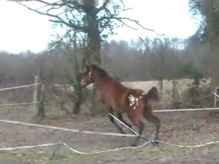 29.02.2012.t.batoukada