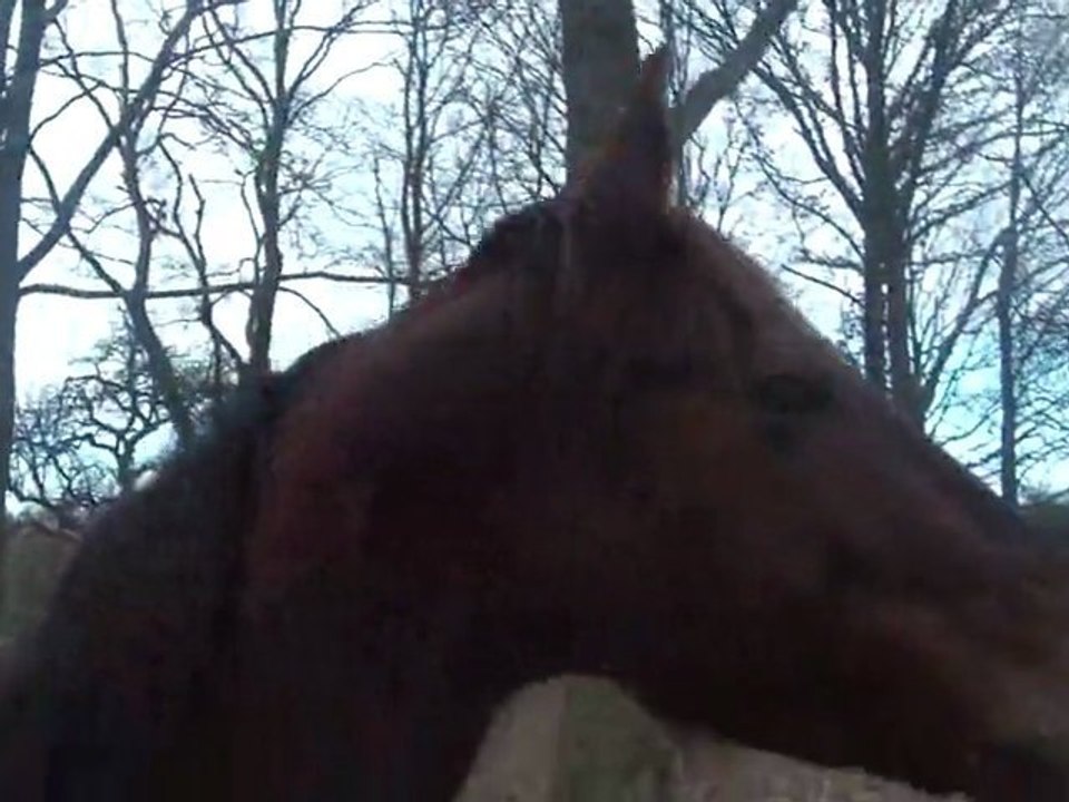 29.02.2012.u.batoukada