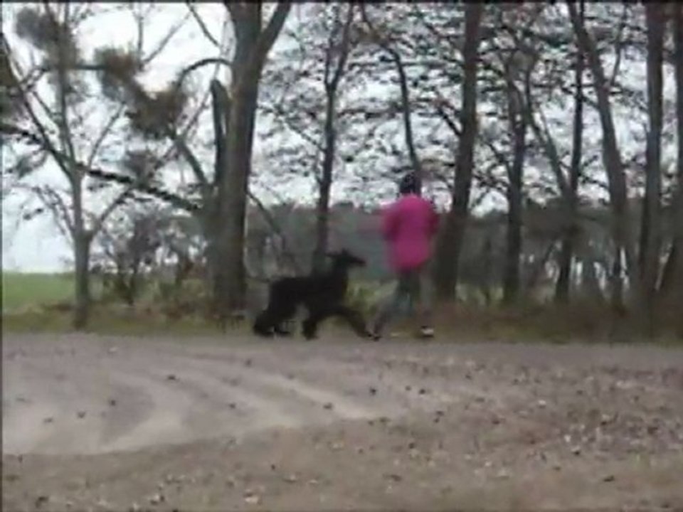 Adshanta gorgeous 03 2012