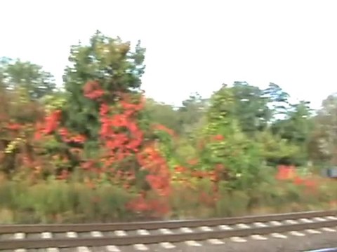 BR140 mit Autozug nach Köln-Bonn und Bauzug Richtung Süden bei Rheinbreitbach