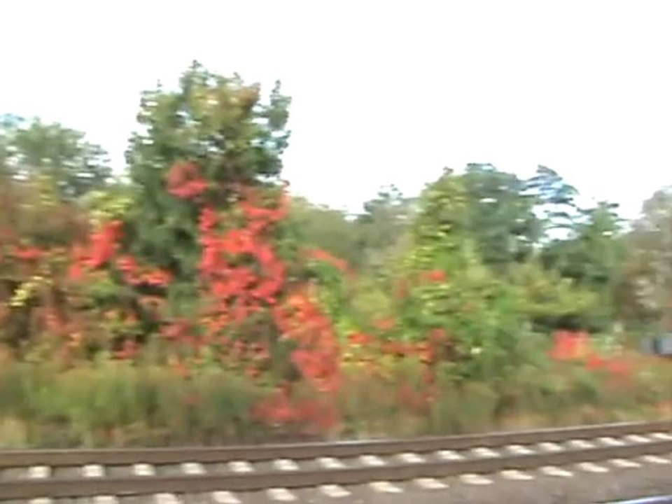 BR140 mit Autozug nach Köln-Bonn und Bauzug Richtung  Süden bei Rheinbreitbach