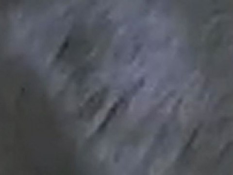 russian blue cat afraid of a sneeze, surprised while kneading, heavy metal soundtrack, hd