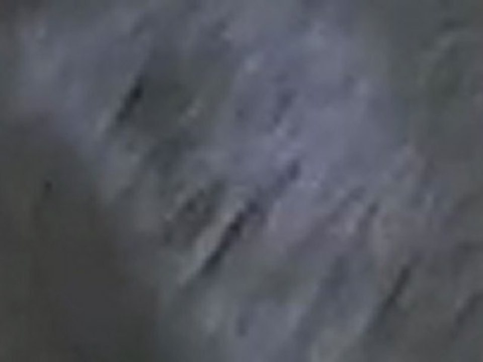 russian blue cat afraid of a sneeze, surprised while kneading, heavy metal soundtrack, hd