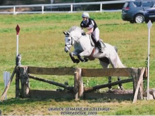 Présentation Popstar de Barbereau