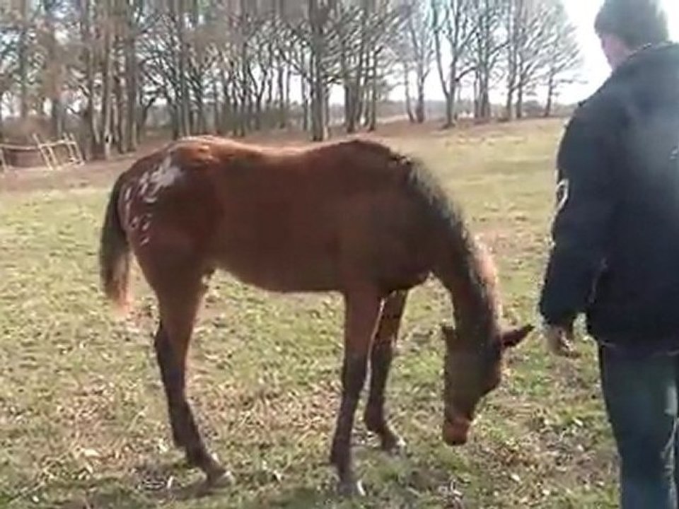 29.02.2012.ze.batoukada