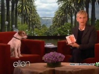 Huggy The Dog Interview Feb 28 2010