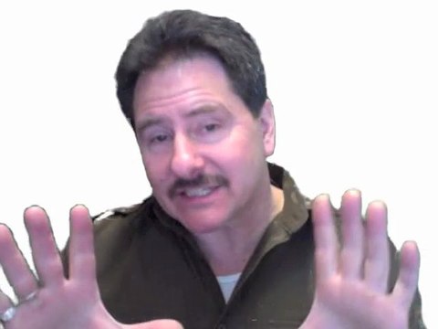 OB02411 Osburn 2400 - high efficiency EPA wood stove with Black Door