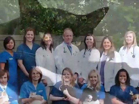 Veterinarian Mississauga Southdown Animal Clinic