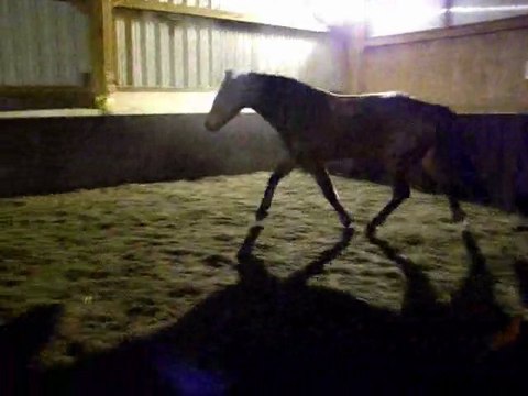 Pitch Travail en liberté