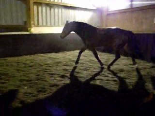 Pitch Travail en liberté