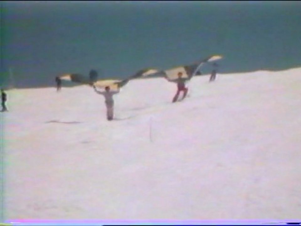 BIRDSAIL 1982 Roland LE BAIL