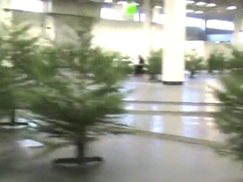 Kölner Echtdampftreffen 2008 Drei Runden auf der Köf Teil 1 von 3