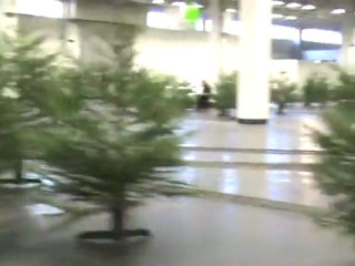 Kölner Echtdampftreffen 2008 Drei Runden auf der Köf Teil 1 von 3