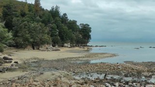 Tinline Bay Walk - Abel Tasman National Park / New Zealand (HD)