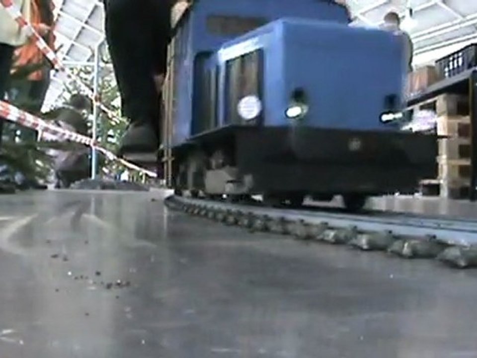 Echtdampftreffen Sinsheim 2009 Eisenbahnverkehr neben der Rampe 001