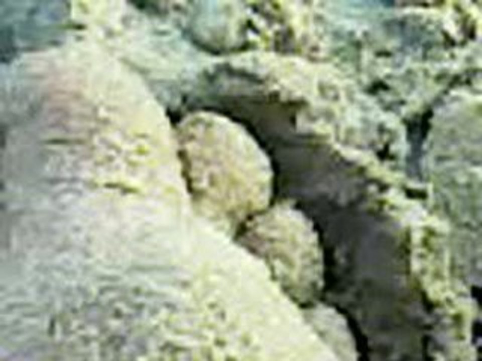 Un pied dans le sable