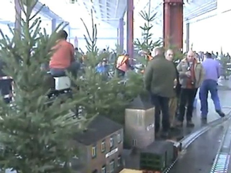 Echtdampftreffen Sinsheim 2009 Eisenbahnverkehr auf und neben der großen Rampe 003