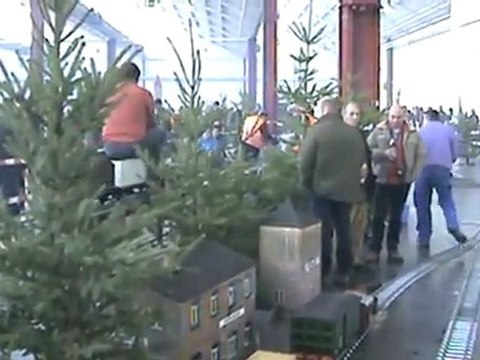 Echtdampftreffen Sinsheim 2009 Eisenbahnverkehr auf und neben der großen Rampe 003