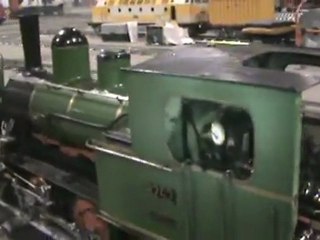 Echtdampftreffen Sinsheim 2009 Tigerli im BW 001