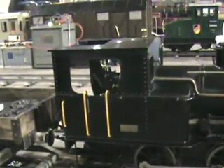 Echtdampftreffen Sinsheim 2009 Tigerli im BW 002