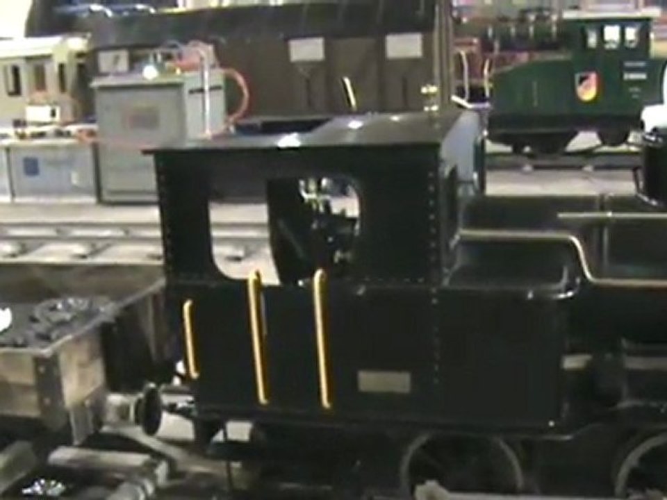 Echtdampftreffen Sinsheim 2009 Tigerli im BW 002