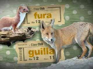 TV3 - Català a l'atac - Un puta