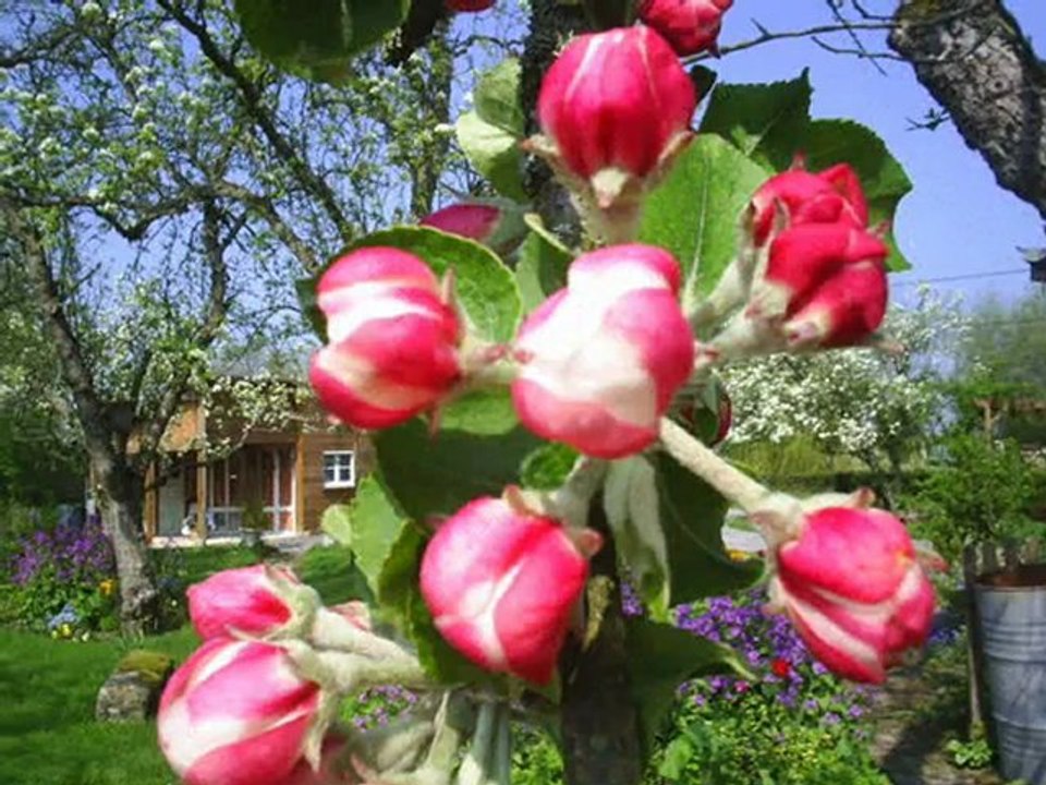 chambres d'hotes   de charme en Normandie  France
