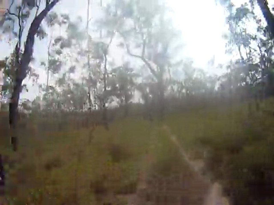BeeMinerRide+Chute