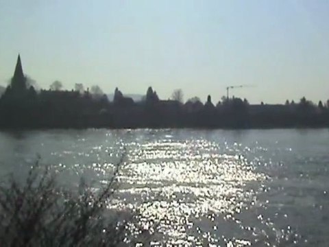 SBB Re482, BR155, ICE T, 3x BR101, 2x BR460, 2x BR643 beim Unkelbachtal am Rhein