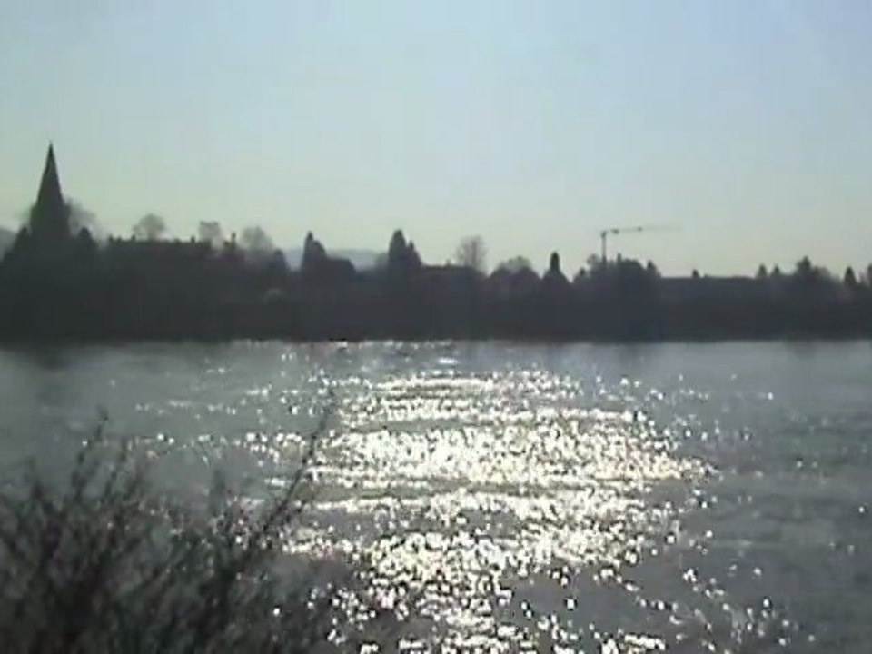 SBB Re482, BR155, ICE T, 3x BR101, 2x BR460, 2x BR643 beim Unkelbachtal am Rhein