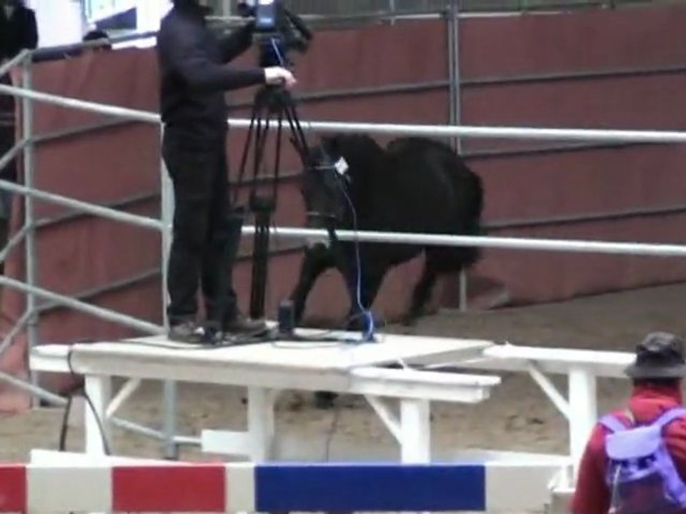 Clifden Roc de la noyelle St lo