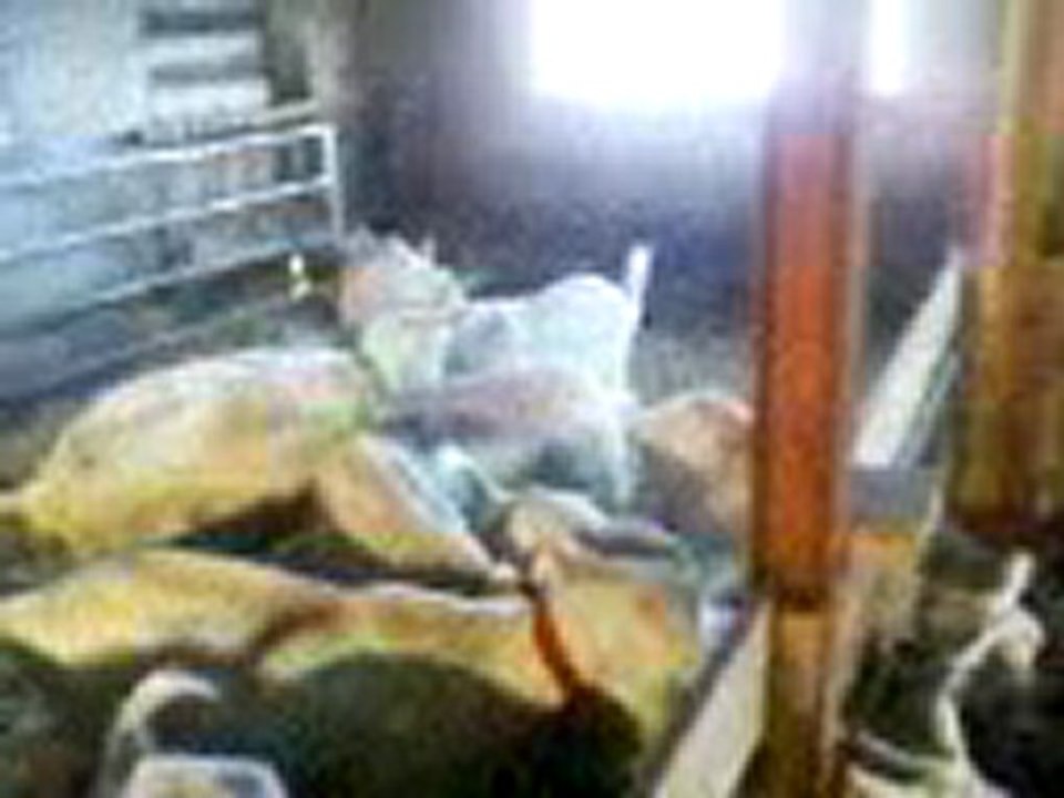 Vidéo-0051