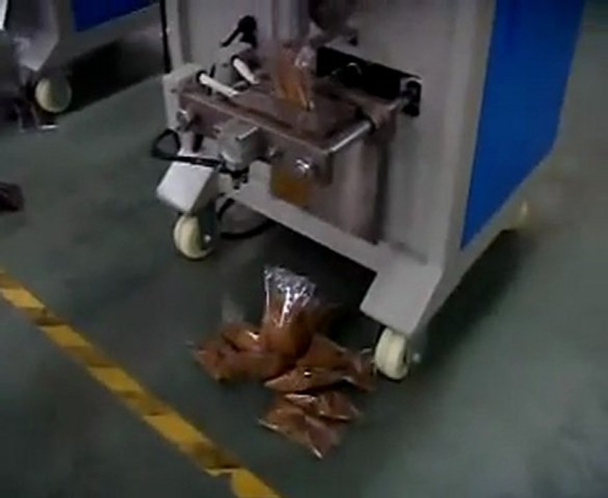 france powder packing machine (china manufacturer)