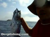 Adrasan Pırasalı adada 4 kg yazılı orkinos balığı
