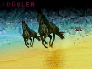 Chris Norman - For you