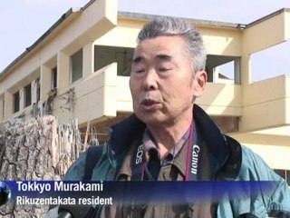 Tsunami 'Pine of hope' dying but not its legacy