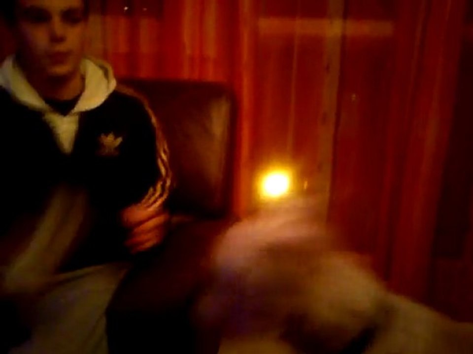 un chien extraordinaire