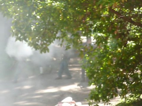 2010 STEAM TRAINS TO BEAR MOUNTAIN 052