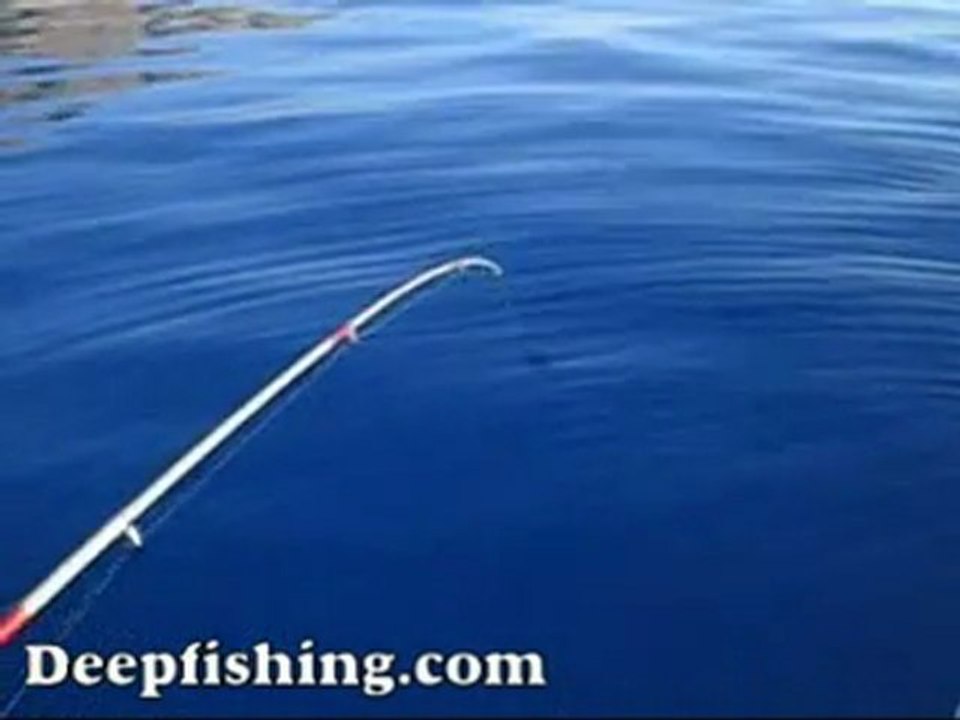 Mustafa Örten ve Menderes Palamut avı