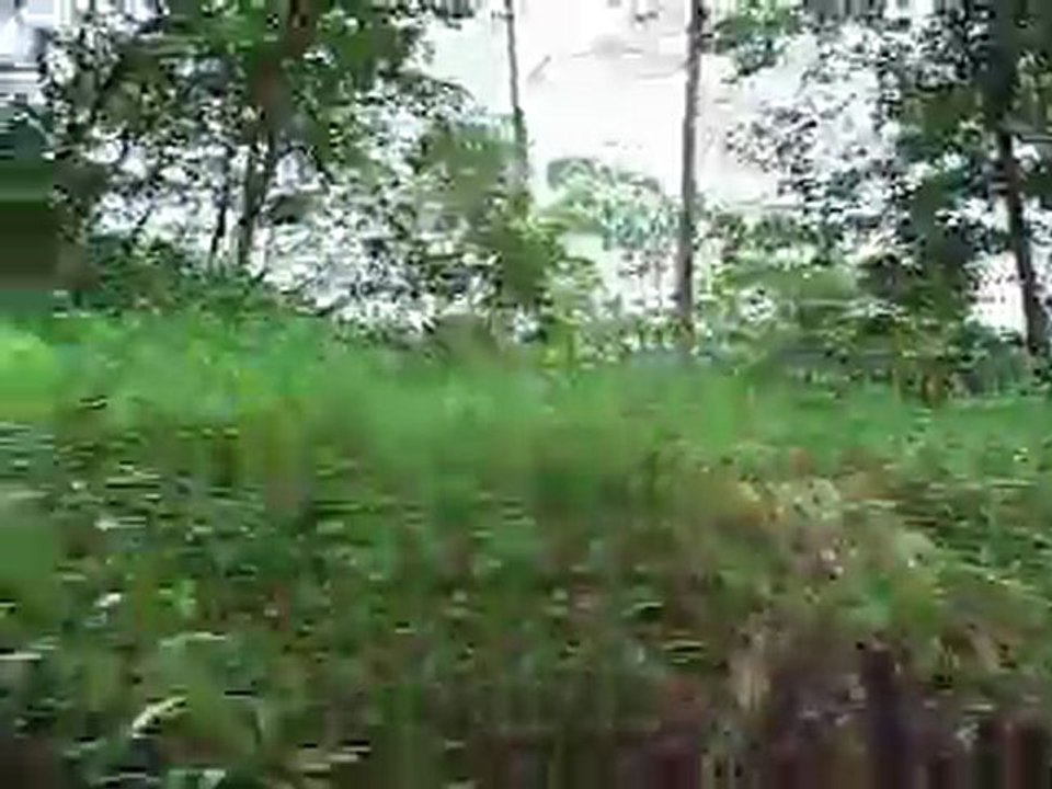 RMOV0363