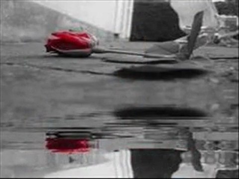 Ahmet Şafak-Naşide Göktürk Yaralı Gülüm