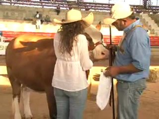 1_2 MARZO 2012 V feria de pereira simmental