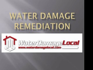 Detriot  Water Damage Remediation