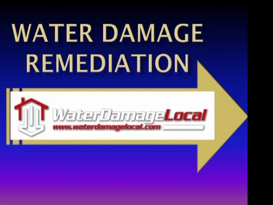 Hackensack  Water Damage Remediation