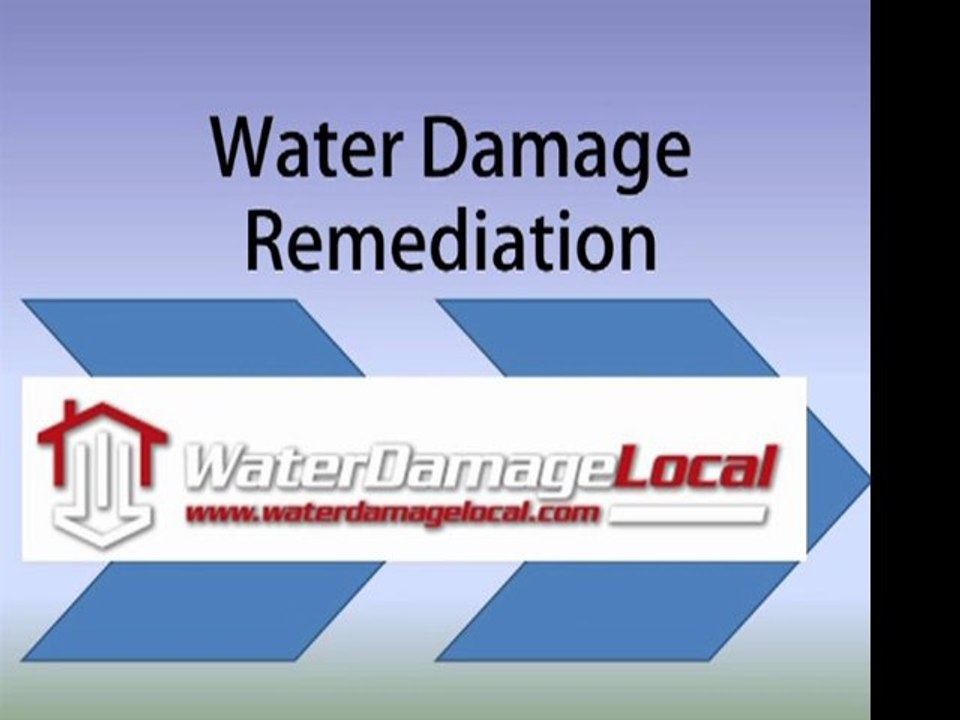 Water Damage Remediation Orlando