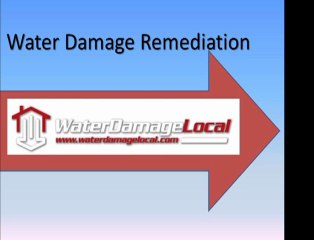 Water Damage Remediation Sarasota